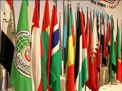 Allama Abbas Kumaili condemns OIC for suspending Syria membership