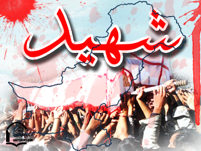 Islamic Research Centre Trust Chairman and son martyred, grandson injured