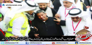 10384335_1565277240362196_1