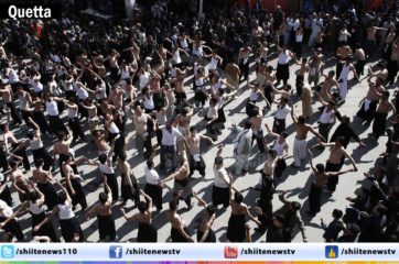 10752477_10203016062194877_1796101553_o