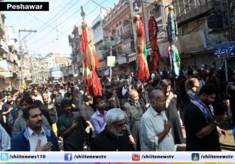 10752511_10203016063114900_831401775_o