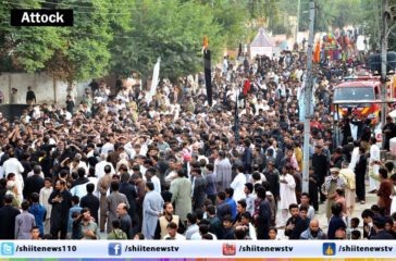 10752662_10203016061034848_1069317669_o