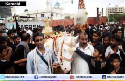 10752676_10203016062274879_1239023956_o