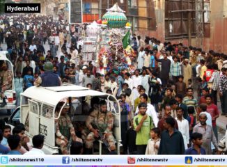 10752770_10203016060674839_357017278_o