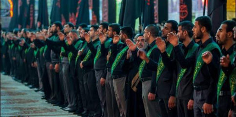 1013636_972769192737857_374