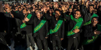 1383765_972769532737823_381