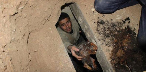 10290194_792532850783355_26