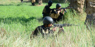 10360896_795094047193902_84