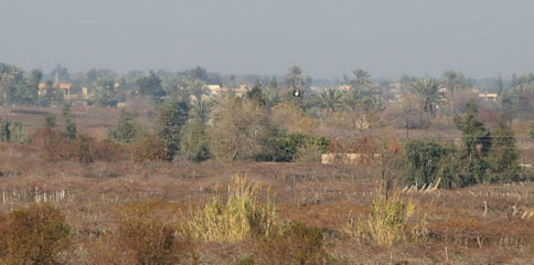 10388211_785875378115769_13