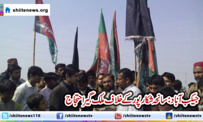 10428549_790258591063139_55