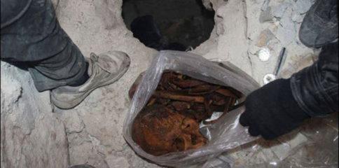 10492456_792532704116703_47