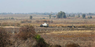 10922475_785875394782434_10