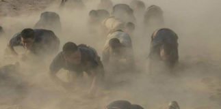 10943721_795094033860570_88