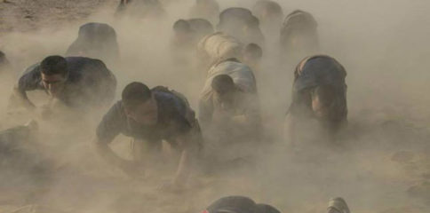 10943721_795094033860570_88