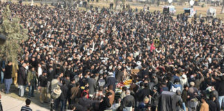 1385499_788710871165553_170