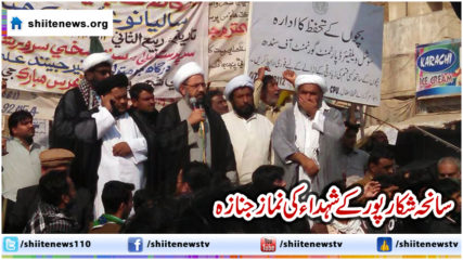 1907943_790135921075406_463