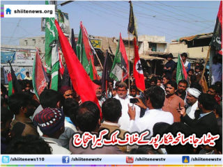 1977072_790260171062981_508