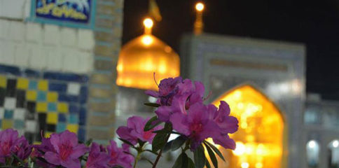 10858517_819854678051172_87