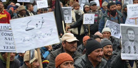 11048607_444771679018633_81