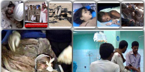 11080962_408963722616775_47