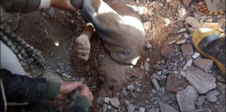 11081109_822720957764544_38