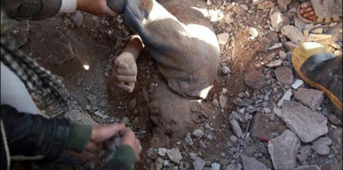 11081109_822720957764544_38