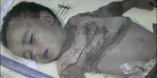 11082596_822720987764541_26