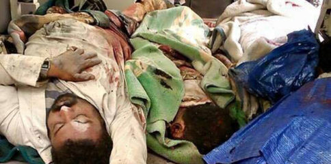 1514944_408963725950108_797