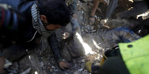 11080439_825315990838374_74