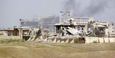 11130478_825291547507485_77