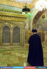 11889474_1658993407657245_1464181298135186208_n