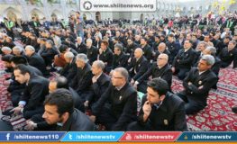 11916097_1659022000987719_7797816345558182722_n