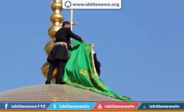 11949483_1659021907654395_5654614732573452957_n