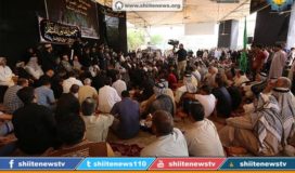 11987200_1664464253776827_2863116348390130548_n