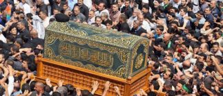 11998929_1664466637109922_7826408434145053065_n