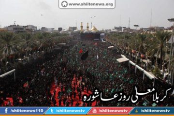 1012447_1674727156083870_7216018058675534900_n