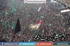 10402470_1674727132750539_6738033626508447769_n