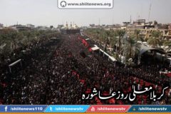 10406440_1674727359417183_7606306530693164379_n