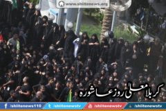 11260680_1674727006083885_83642747892897449_n