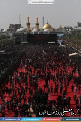 11990555_1674726809417238_7139295147431012776_n