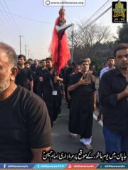 12011192_1675047872718465_6994544612387106987_n