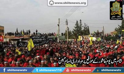 12047002_1675000719389847_3300571955437586882_n