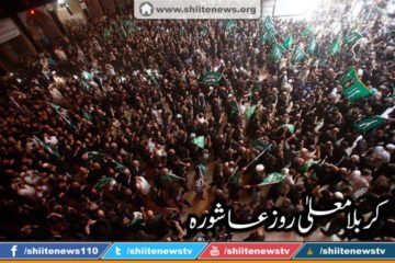 12047084_1674726959417223_2467201358803095605_n