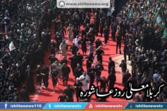 12049333_1674727202750532_6145286430498452304_n