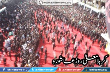 12049480_1674727292750523_8657050575013563991_n