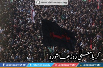 12049677_1674726856083900_2205211667480849131_n