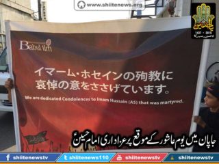 12066012_1675048182718434_8118672435557828893_n