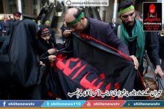 12087899_1671851639704755_1361264118561583733_o