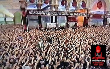 12088219_1671542153069037_6430423623451505595_n