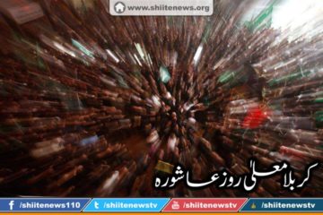 12118873_1674726992750553_6035508565485260017_n